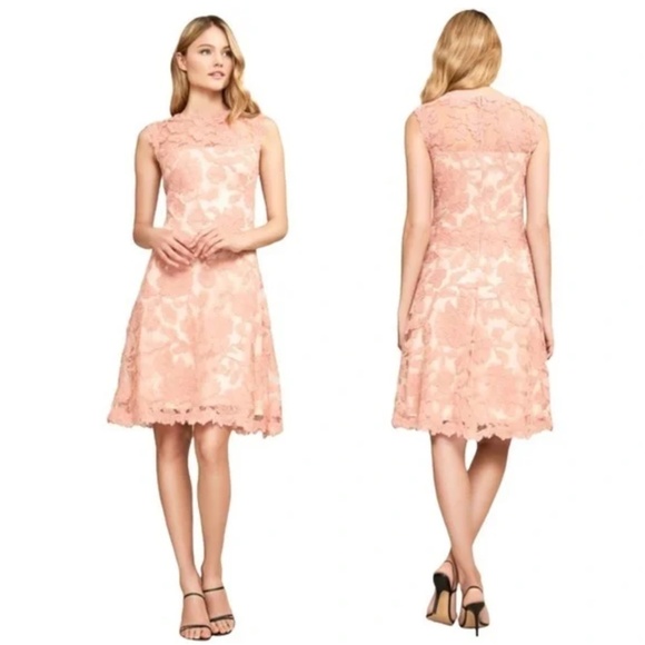 Tadashi Shoji Tamura Embroidered Lace Fit & Flare Dress In Blush Pink Size 8 M - Picture 1 of 16